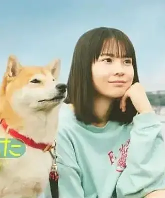 《今日份的散步》：在日常的微光中，寻回生活的诗意