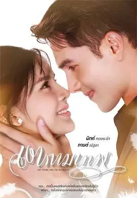 《新爱神之影》：迷雾重重的爱欲陷阱？深度解析反转不断的悬疑剧情！