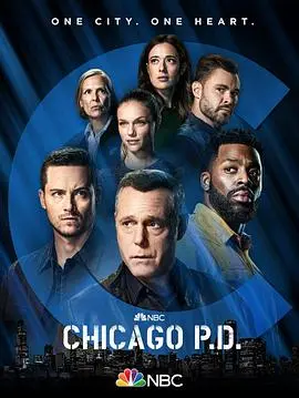 《芝加哥警署第九季》：硬汉警探的都市罪案斡旋，热血与人性在硝烟中交织
